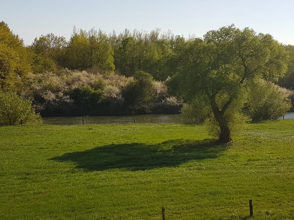 Lippe-Auen Marl Dorsten