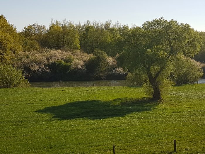 Lippe-Auen Marl Dorsten